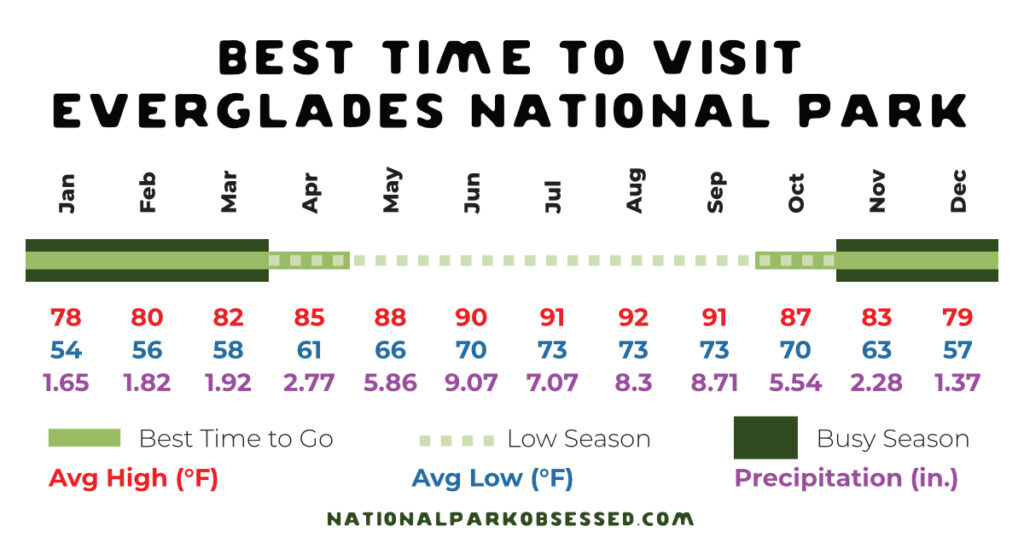 Infographic titled 'Best Time to Visit Everglades National Park' displaying a monthly breakdown of average high and low temperatures in degrees Fahrenheit and precipitation in inches. The best times to go, depicted in dark green, span from December to April, while the busy season is marked from May to November in light green dotted lines.