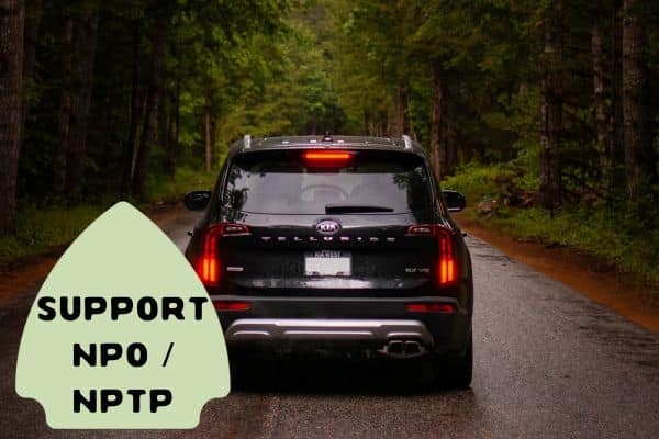 The image shows the rear view of a dark SUV driving on a wet forest road, framed by lush green trees. The vehicle’s brake lights are illuminated, suggesting a moment of pause or slow travel through the scenic route.