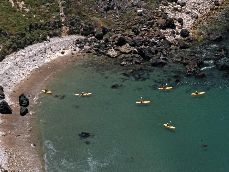 Group of kayakers navigating the clear waters off the rocky shore of Channel Islands National Park, California, exploring secluded coves and rugged coastline.