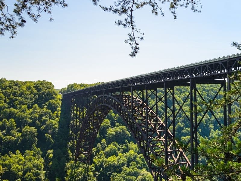 The New River Gorge Bridge, a large steel arch bridge spanning over a dense green forest, viewed from a side angle.