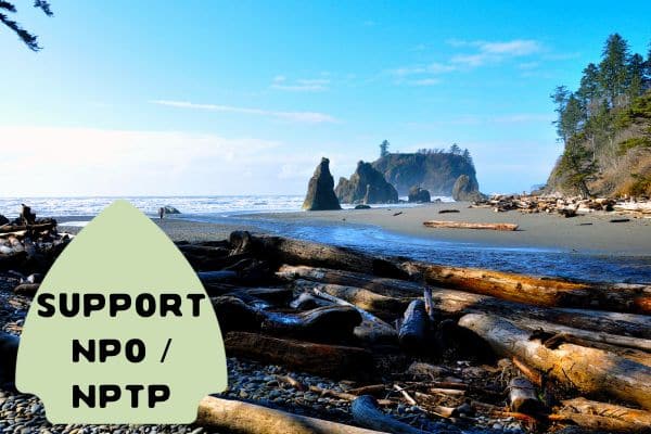A coastal scene featuring driftwood on a pebbled beach with sea stacks and a rocky shoreline in the background, under a clear blue sky. The text "Support NPO / NPTP" is displayed in a green badge on the left side.