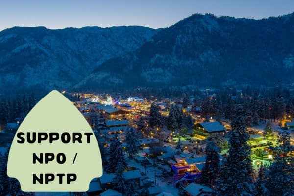 This image shows a beautifully lit town nestled in a snowy mountainous landscape at dusk, with colorful holiday lights adding to the festive atmosphere. In the foreground, there's a large, green arrow-shaped sign that reads "SUPPORT NPO / NPTP."