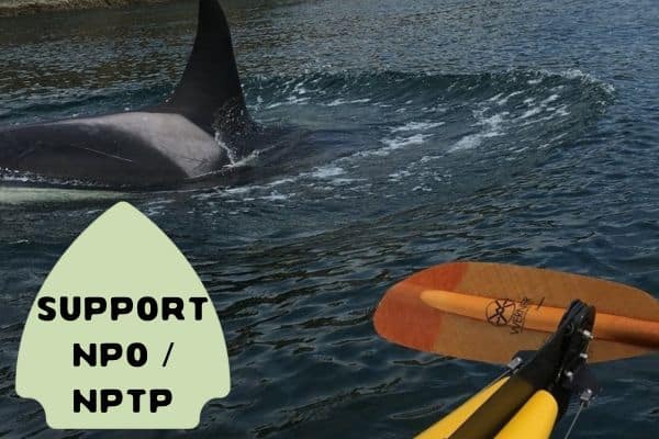 This image shows a close-up of a kayak paddle in the foreground and an orca swimming in the water nearby. In the bottom left corner, a green arrow-shaped sign reads "SUPPORT NPO / NPTP."