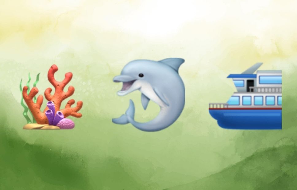 Three icons in a row: colorful coral with seaweed, a happy dolphin mid-jump, and a large blue and white tour boat.