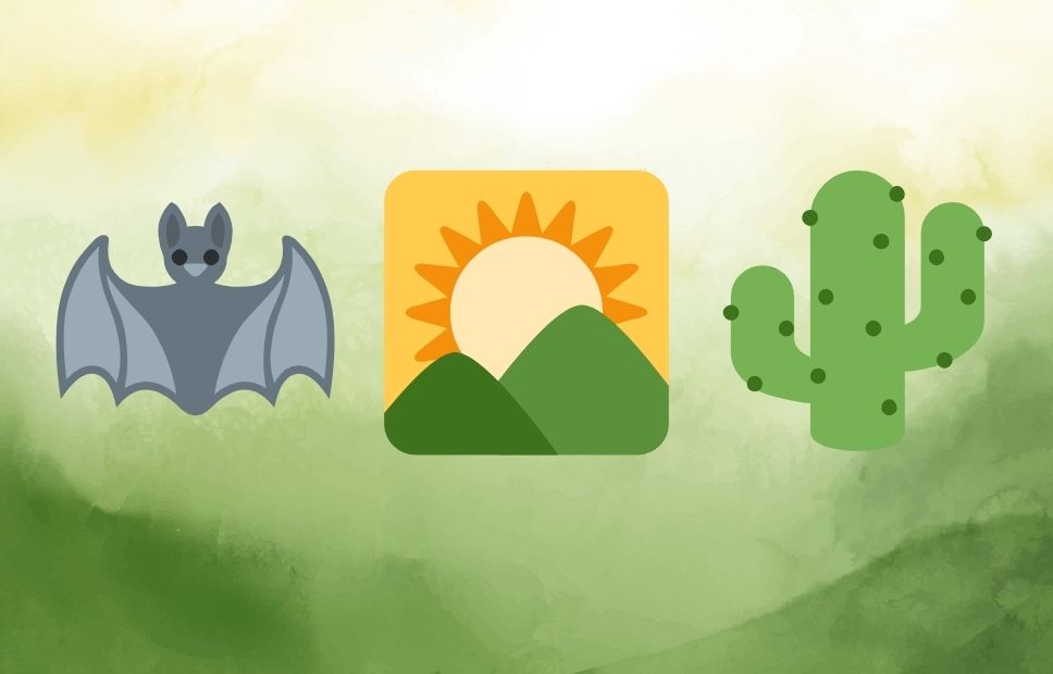 Illustrated riddle showing a bat, a sunrise behind two green hills, and a cactus, with no text labels or answer provided.