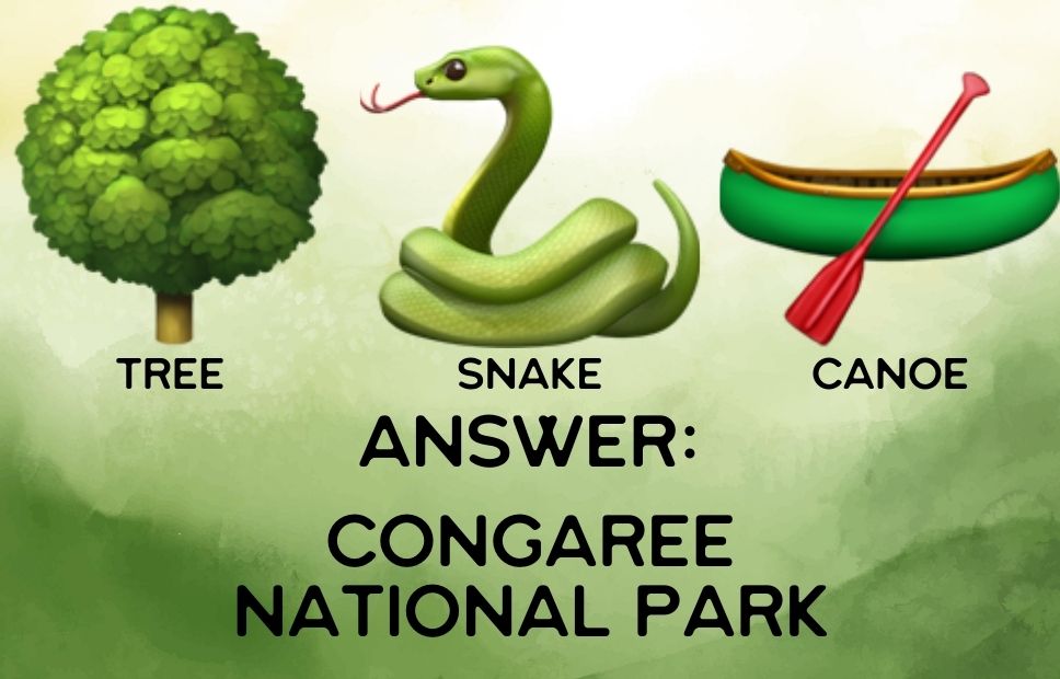 Illustration of a leafy tree, a green snake, and a green canoe representing the dense forests and swampy waterways of Congaree National Park.