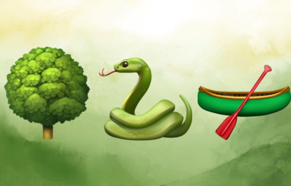 Illustration of a leafy tree, a green snake, and a green canoe symbolizing the swampy forest environment of Congaree National Park.