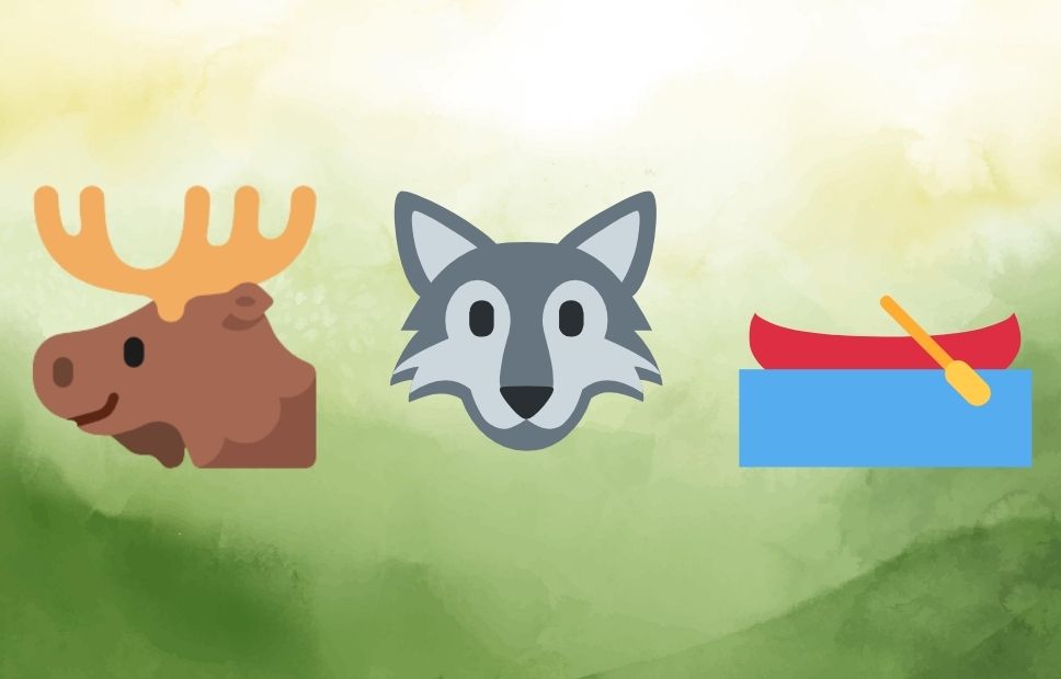 Illustrated riddle with images of a moose, a wolf, and a red canoe without any text labels or answer shown.
