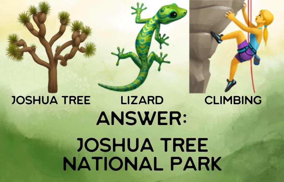 Illustration of a Joshua tree, a colorful lizard, and a person rock climbing, representing desert wildlife and outdoor recreation in Joshua Tree National Park.