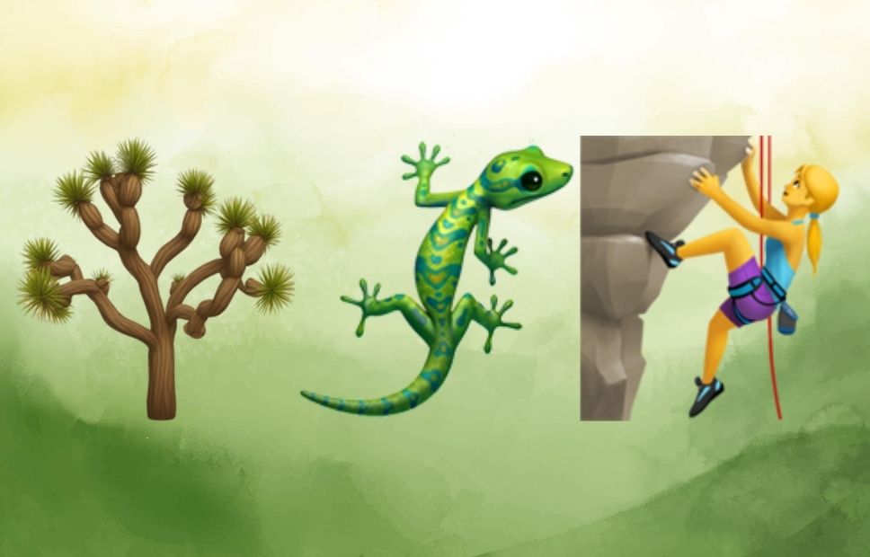 Illustration of a Joshua tree, a colorful lizard, and a person rock climbing, representing desert wildlife and outdoor recreation in Joshua Tree National Park.