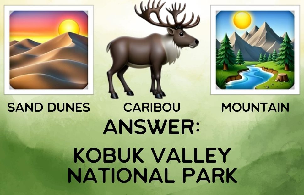 Illustration of sand dunes, a caribou, and a mountainous landscape, symbolizing the remote and diverse environment of Kobuk Valley National Park.