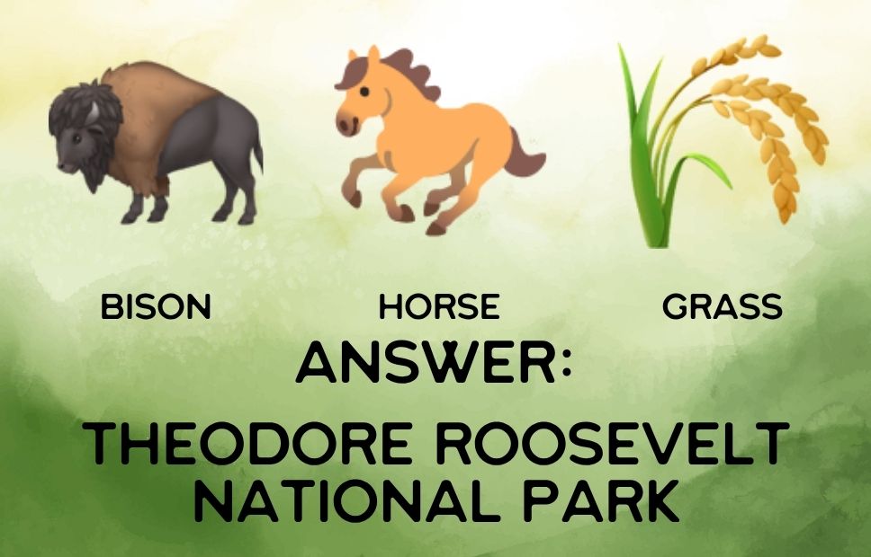 A themed image with emojis of a bison, a horse in motion, and stalks of grass, each with text labels. The answer shown is “Theodore Roosevelt National Park.”