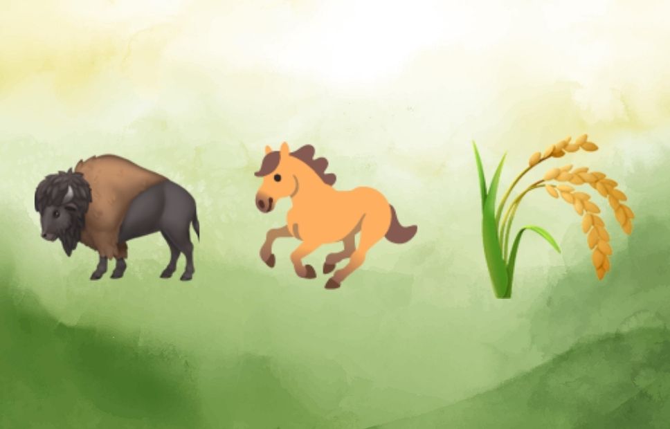 A bison, a galloping horse emoji, and a bunch of golden prairie grass stalks.