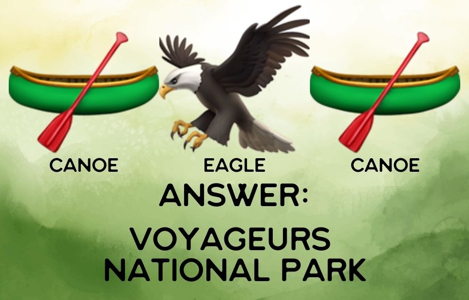 Illustration of two canoes with paddles and an eagle in between, referencing the water-based exploration and birdlife of Voyageurs National Park.