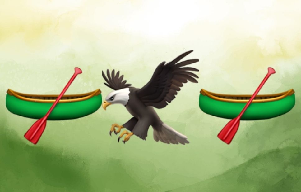 Illustration of two canoes with paddles and an eagle in between, referencing the water-based exploration and birdlife of Voyageurs National Park.