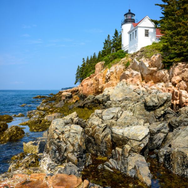 The rugged coastline of Acadia National Park features a white lighthouse perched on a rocky cliff above the Atlantic Ocean, surrounded by evergreens.