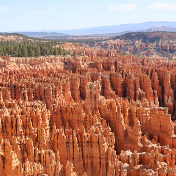 Hundreds of orange rock spires, or hoodoos, cluster tightly together in Bryce Canyon National Park, stretching across the high desert under a bright sky.