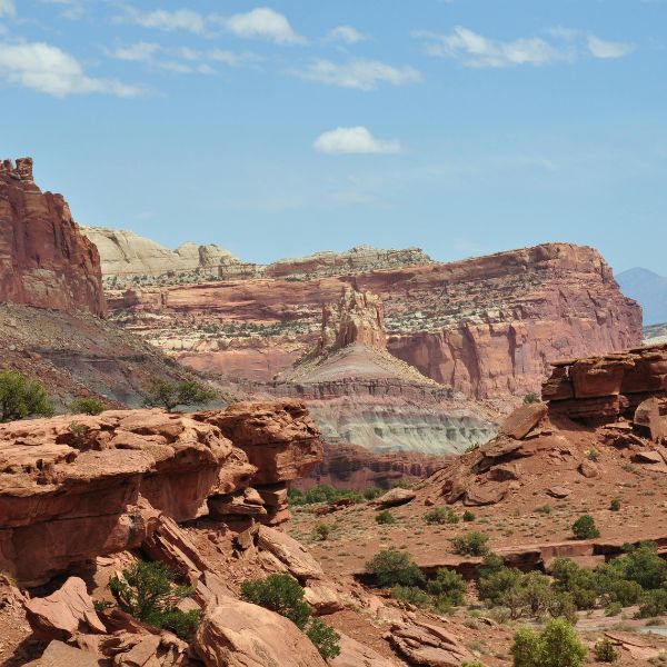 Layered, colorful cliffs and rugged rock formations dominate the desert landscape of Capitol Reef National Park beneath a clear blue sky.