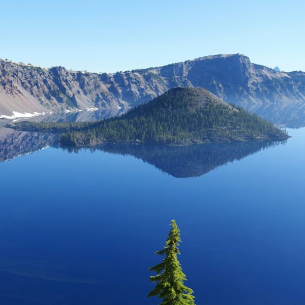 A deep blue Crater Lake reflects the surrounding jagged caldera cliffs and a forested island under a clear blue sky.