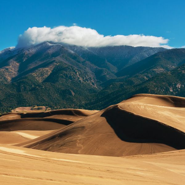 Sweeping sand dunes curve across the foreground with forested mountains and a cloud-topped ridge rising in the background.