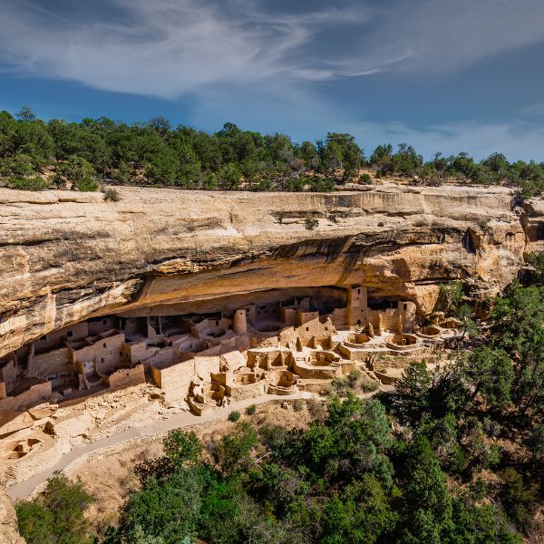 Ancestral Puebloan cliff dwellings tucked into a large sandstone alcove in Mesa Verde National Park, surrounded by desert trees and rugged canyon cliffs.