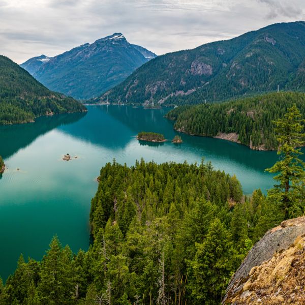 Overlook view of a turquoise lake winding through densely forested mountains in North Cascades National Park, with peaks in the background and cloudy skies above.