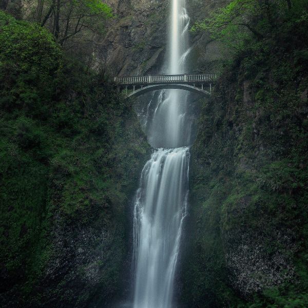 A stunning view of Multnomah Falls in Oregon, with water cascading down two tiers of rocky cliffs, framed by lush green forest and a footbridge between the falls.