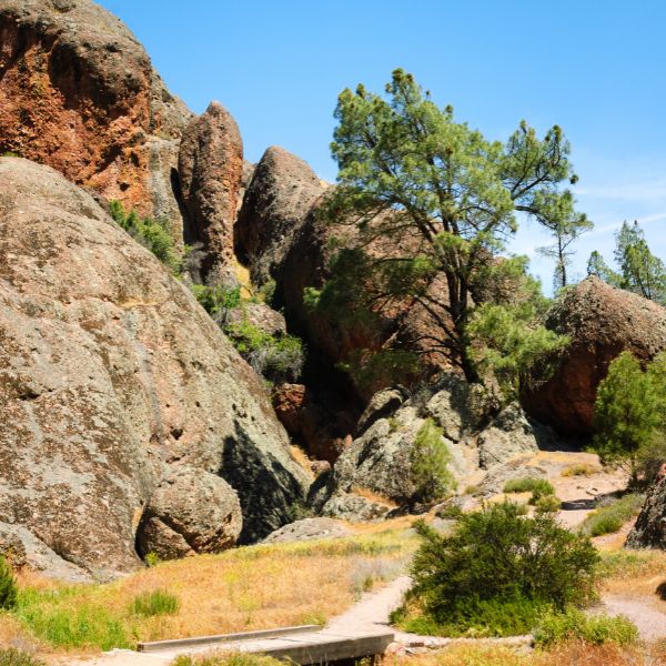 Jagged, reddish rock formations tower over a sunlit trail and dry brush at Pinnacles National Park, with scattered trees growing between the rocky outcrops.