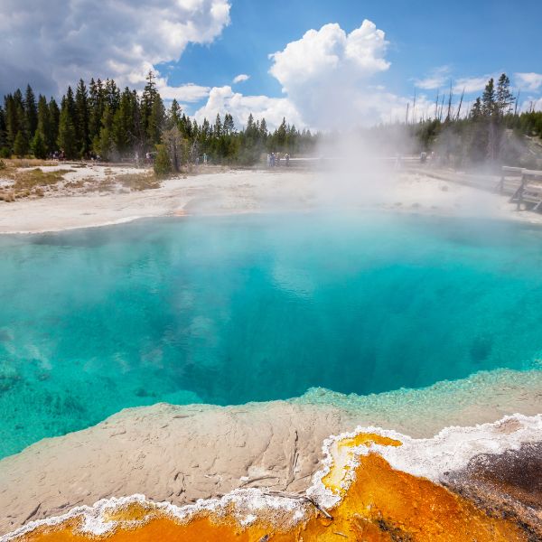 A steaming hot spring with crystal-clear turquoise water at Yellowstone National Park, surrounded by pine trees and a dramatic sky.