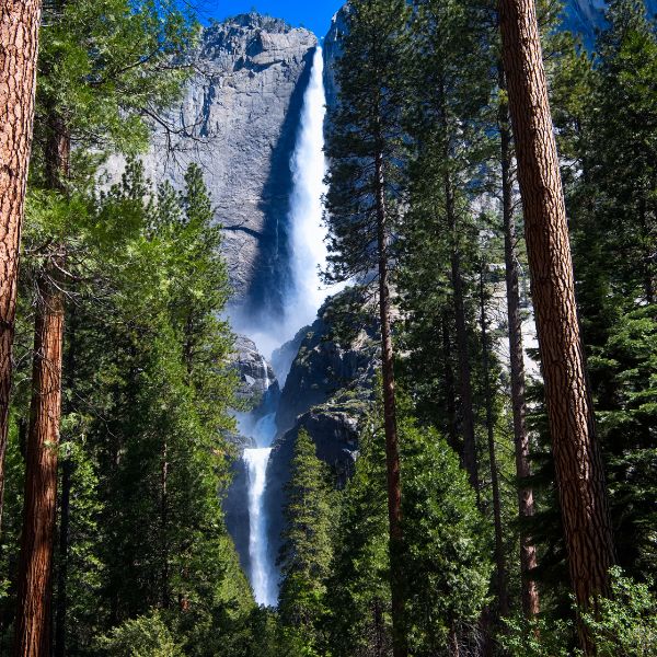 A towering waterfall cascading between granite cliffs and dense forest in Yosemite National Park.