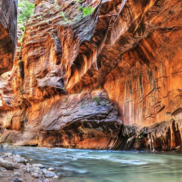 Narrow canyon walls with red rock formations and a shallow flowing river at Zion National Park.