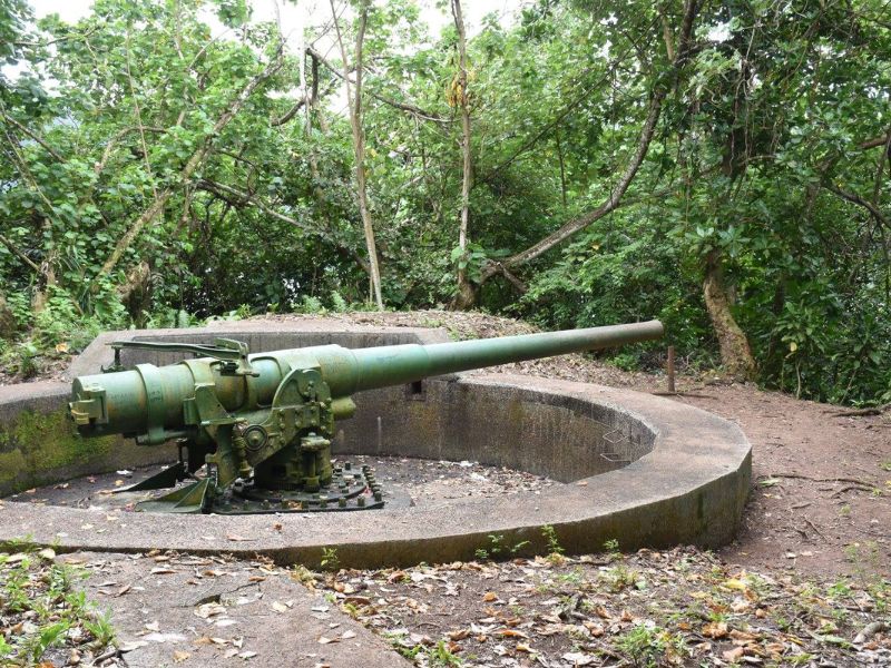 A weathered green coastal defense gun sits on a concrete platform surrounded by dense jungle foliage in American Samoa. The World War II-era artillery piece is partially rusted and aimed outward, blending into the overgrown surroundings.