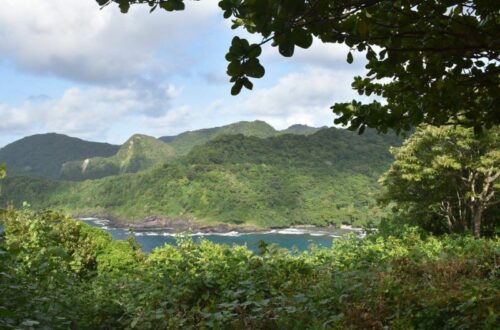 Dense tropical vegetation frames a scenic coastal view of green hills and rugged shoreline in American Samoa. The ocean waves crash gently against the rocks below, with rolling, forested mountains stretching into the background under a partly cloudy sky.