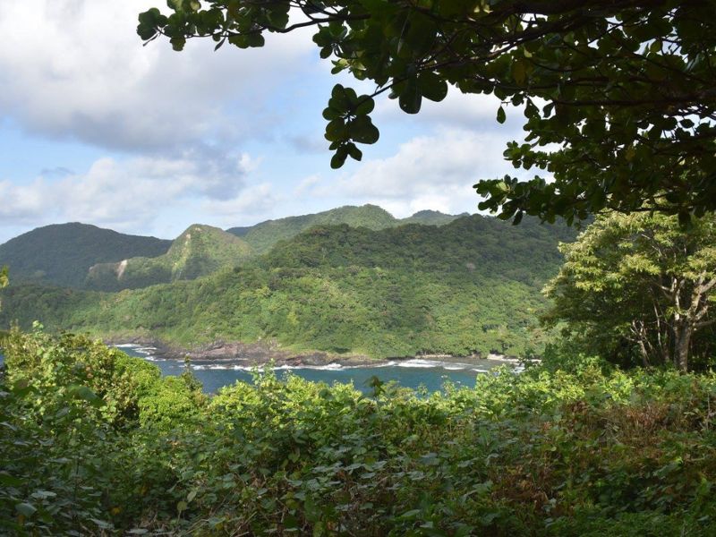Dense tropical vegetation frames a scenic coastal view of green hills and rugged shoreline in American Samoa. The ocean waves crash gently against the rocks below, with rolling, forested mountains stretching into the background under a partly cloudy sky.