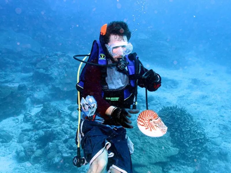 A scuba diver in full gear holds a chambered nautilus suspended on a line while exploring the ocean floor in American Samoa. The diver is surrounded by clear blue water and coral formations, capturing a rare encounter with the deep-sea creature.