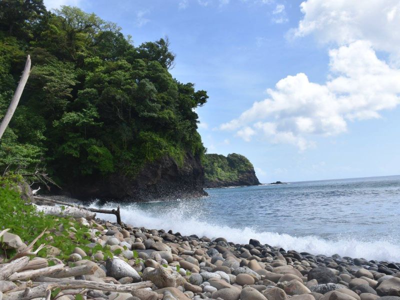Waves crash onto a rocky beach lined with smooth stones and driftwood along a lush, forested coastline in American Samoa. Dense green vegetation covers the cliffs that jut out into the ocean under a bright blue sky with scattered clouds.