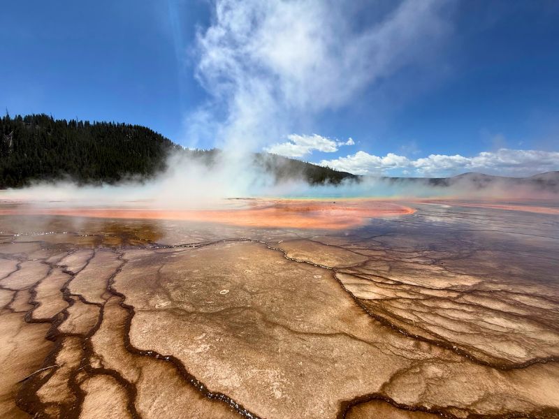 Ground level view across Grand Prismatic Spring with orange and brown microbial mats leading toward turquoise water and drifting steam.