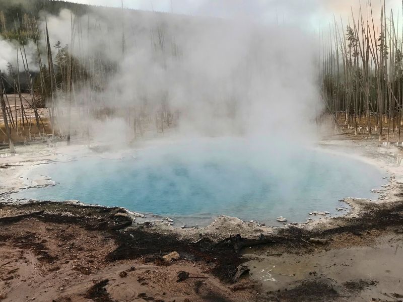 Bright turquoise hot spring in Yellowstone surrounded by thick steam and a forest of bare and evergreen trees.