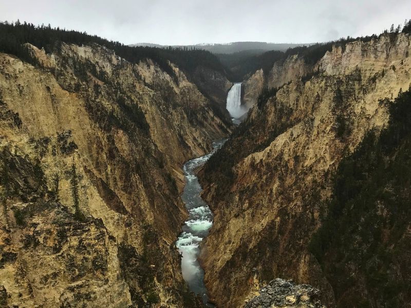 Lower Falls plunges into the Grand Canyon of the Yellowstone with the Yellowstone River winding between steep golden canyon walls.