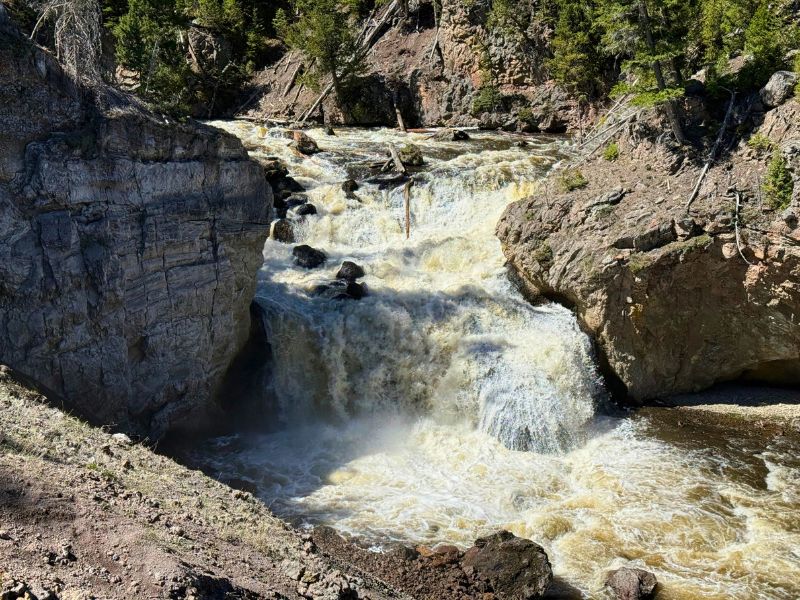 Powerful Yellowstone waterfall tumbles over several rocky ledges into churning water surrounded by cliffs and evergreen forest.