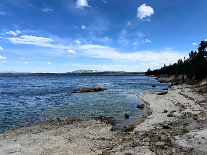 Calm blue Yellowstone lake curves along a rocky shoreline beneath a vivid blue sky with distant mountains on the horizon.