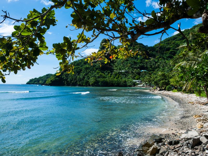 A curved tropical beach in the National Park of American Samoa with clear turquoise water, gentle waves, and a rocky shoreline backed by lush green mountains. Large leafy tree branches frame the view beneath a bright blue sky.