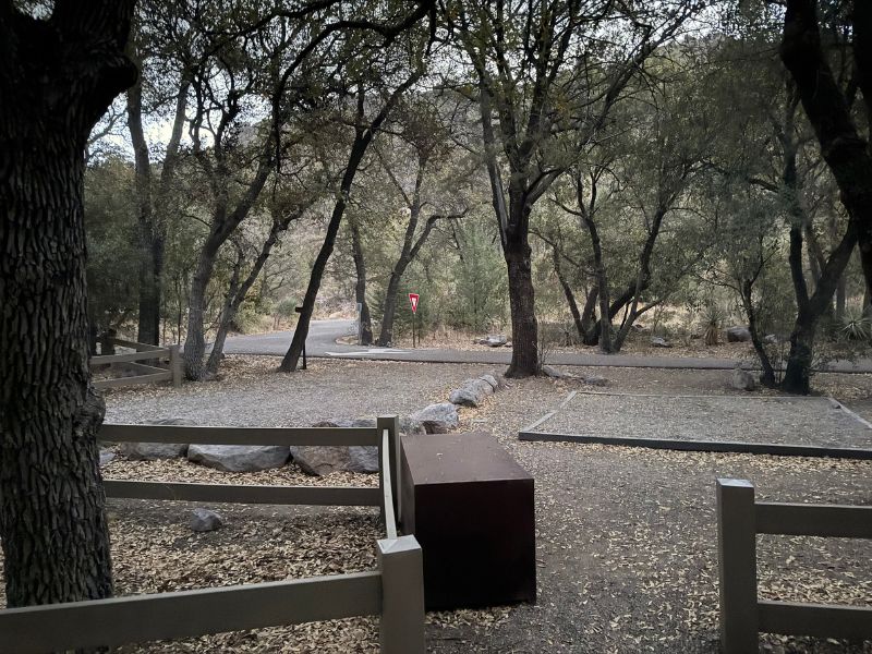 A quiet campground surrounded by tall oak trees at Chiricahua National Monument in Arizona. Empty gravel campsites are bordered by wooden fences and large rocks, with a paved road winding through the wooded area.