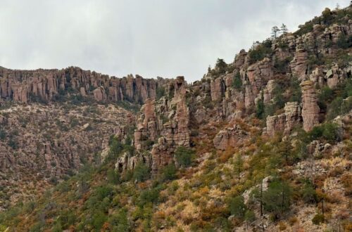 Steep canyon walls covered in tall, narrow volcanic rock spires rise above a hillside dotted with pine trees, shrubs, and golden grasses at Chiricahua National Monument. The reddish brown rock formations create a rugged landscape beneath an overcast sky.