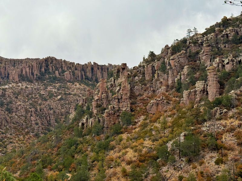 Steep canyon walls covered in tall, narrow volcanic rock spires rise above a hillside dotted with pine trees, shrubs, and golden grasses at Chiricahua National Monument. The reddish brown rock formations create a rugged landscape beneath an overcast sky.