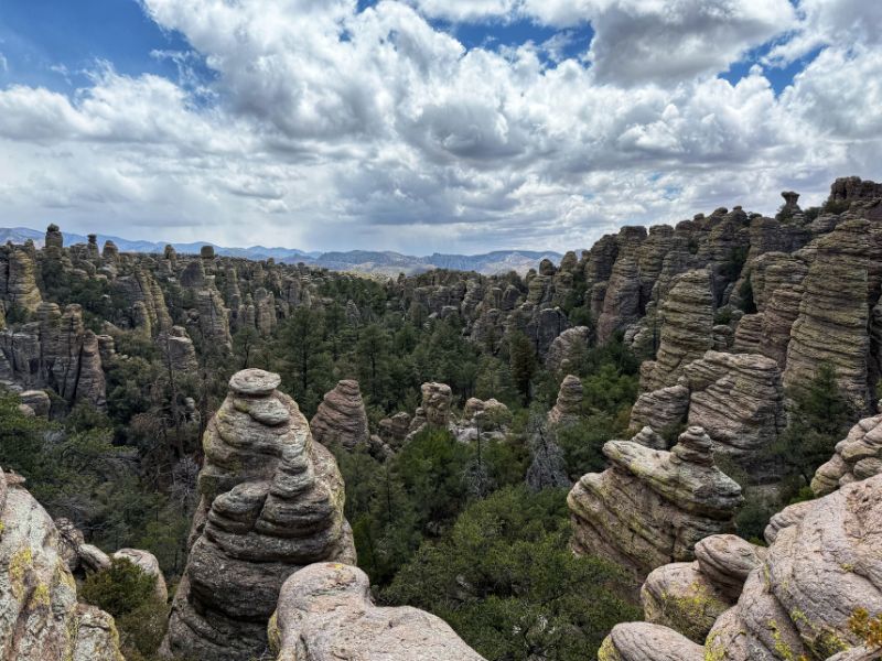 Panoramic view across a forested canyon filled with hundreds of unusual stacked rock pinnacles and rounded stone towers at Chiricahua National Monument. Large layered formations frame the foreground, while dense green trees fill the valley and distant mountains stretch beneath a partly cloudy sky.