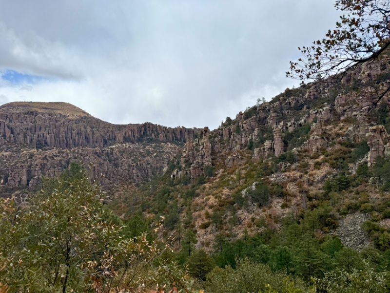 A rugged canyon in Chiricahua National Monument filled with towering vertical rock columns, scattered pine trees, and dry grasses. Steep rocky cliffs rise along both sides of the valley beneath a cloudy sky, showcasing the dramatic scenery visitors can explore when they visit Chiricahua National Park.